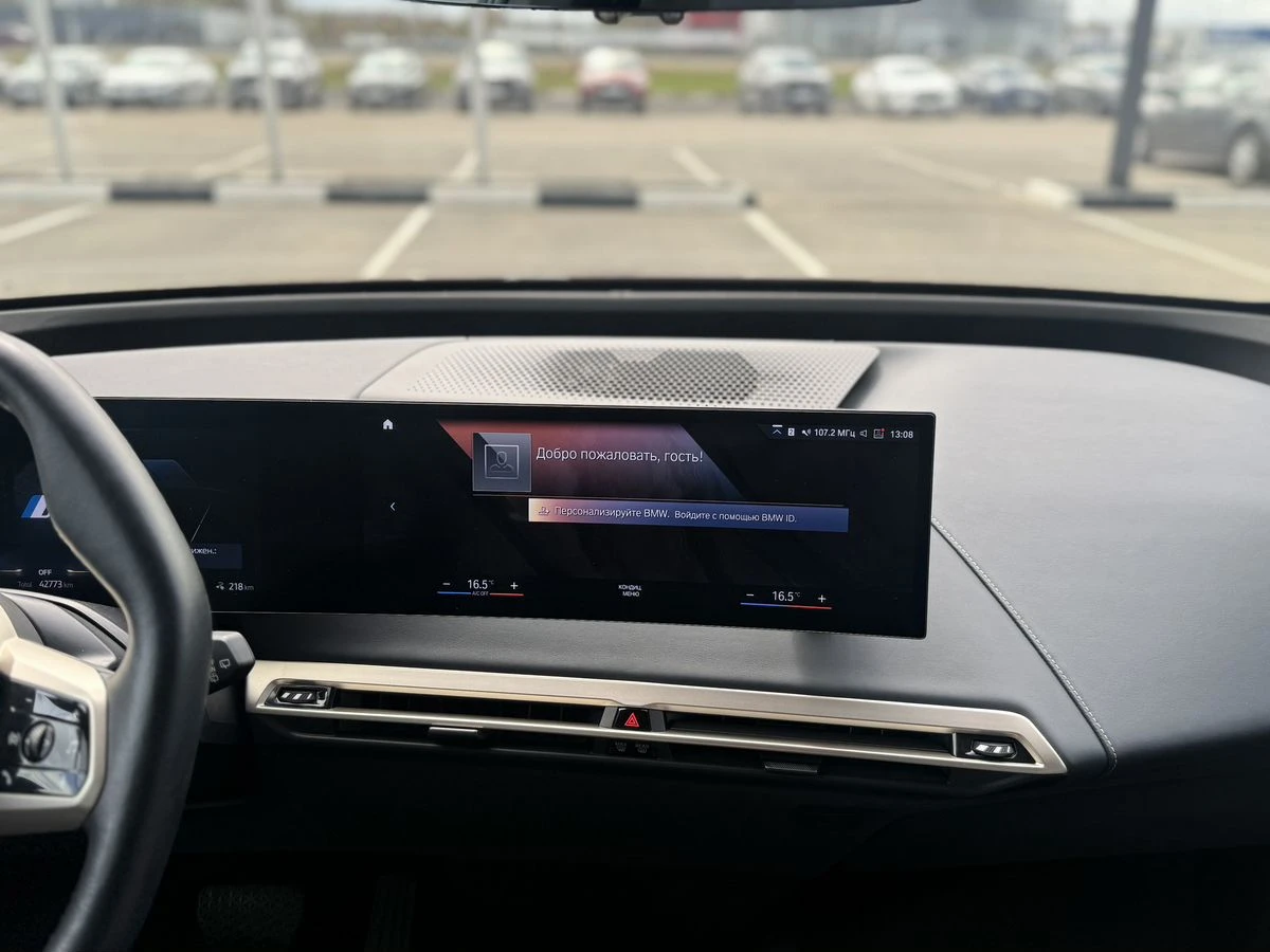 BMW iX